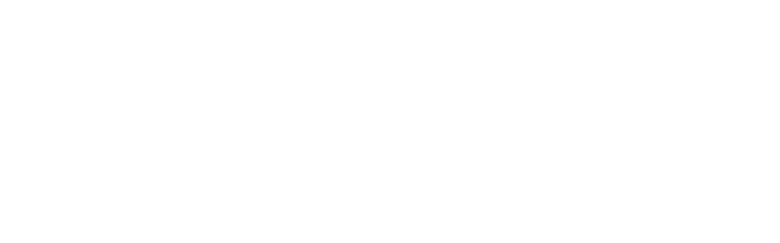 logotipo-bobinados-blanco-3